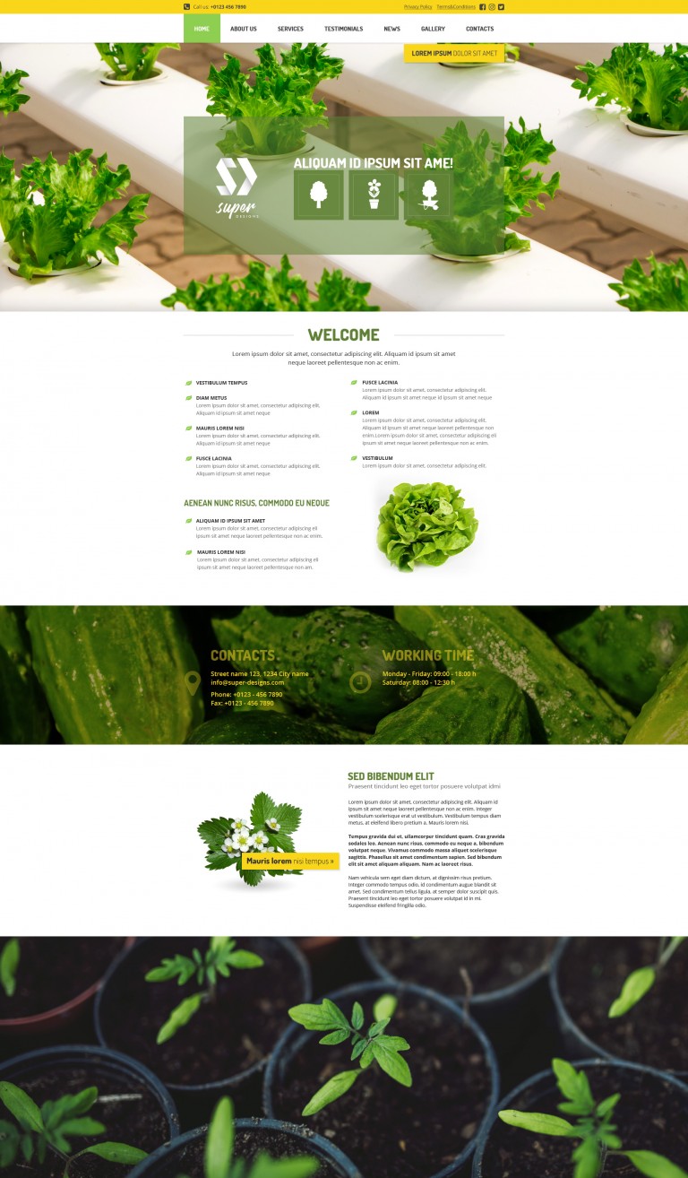 Vegetable Garden HTML template