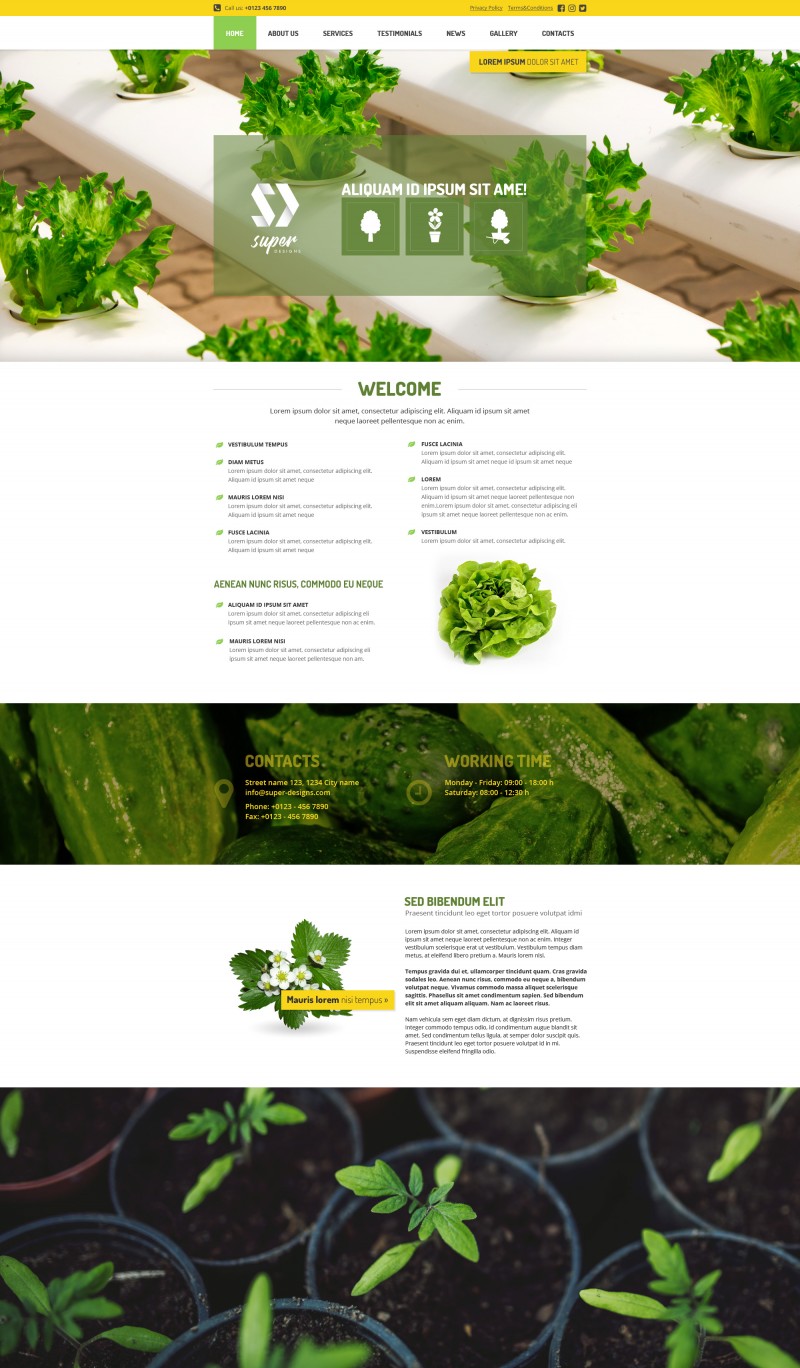 Vegetable Garden PSD template